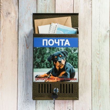 Почтовый ящик с замком, "Осторожно! Злая собака", бронзовый, 20 х 4 х 31 см