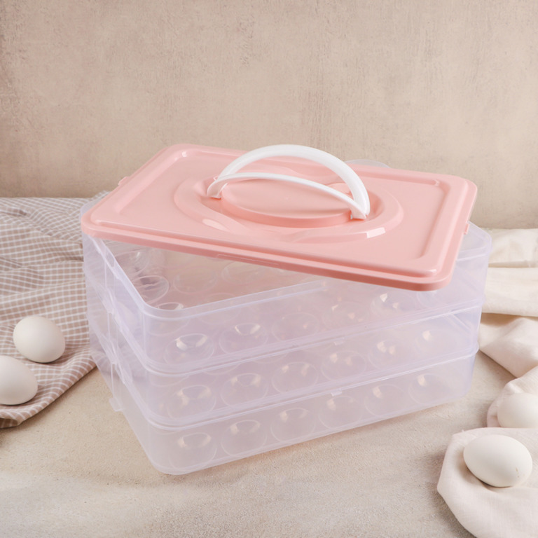 Купить контейнер для хранения яиц 31,5 x 22 x 17,5 см