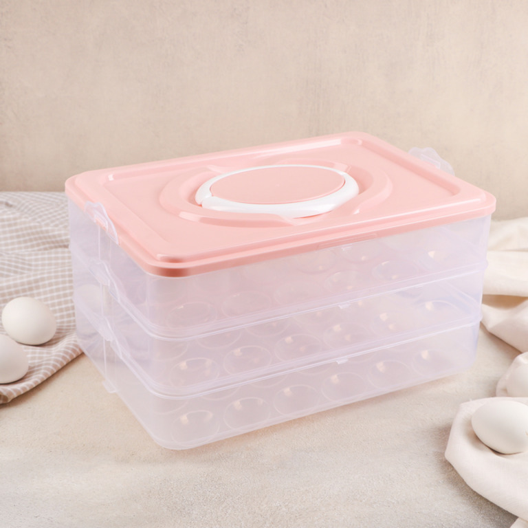 Купить контейнер для хранения яиц 31,5 x 22 x 17,5 см